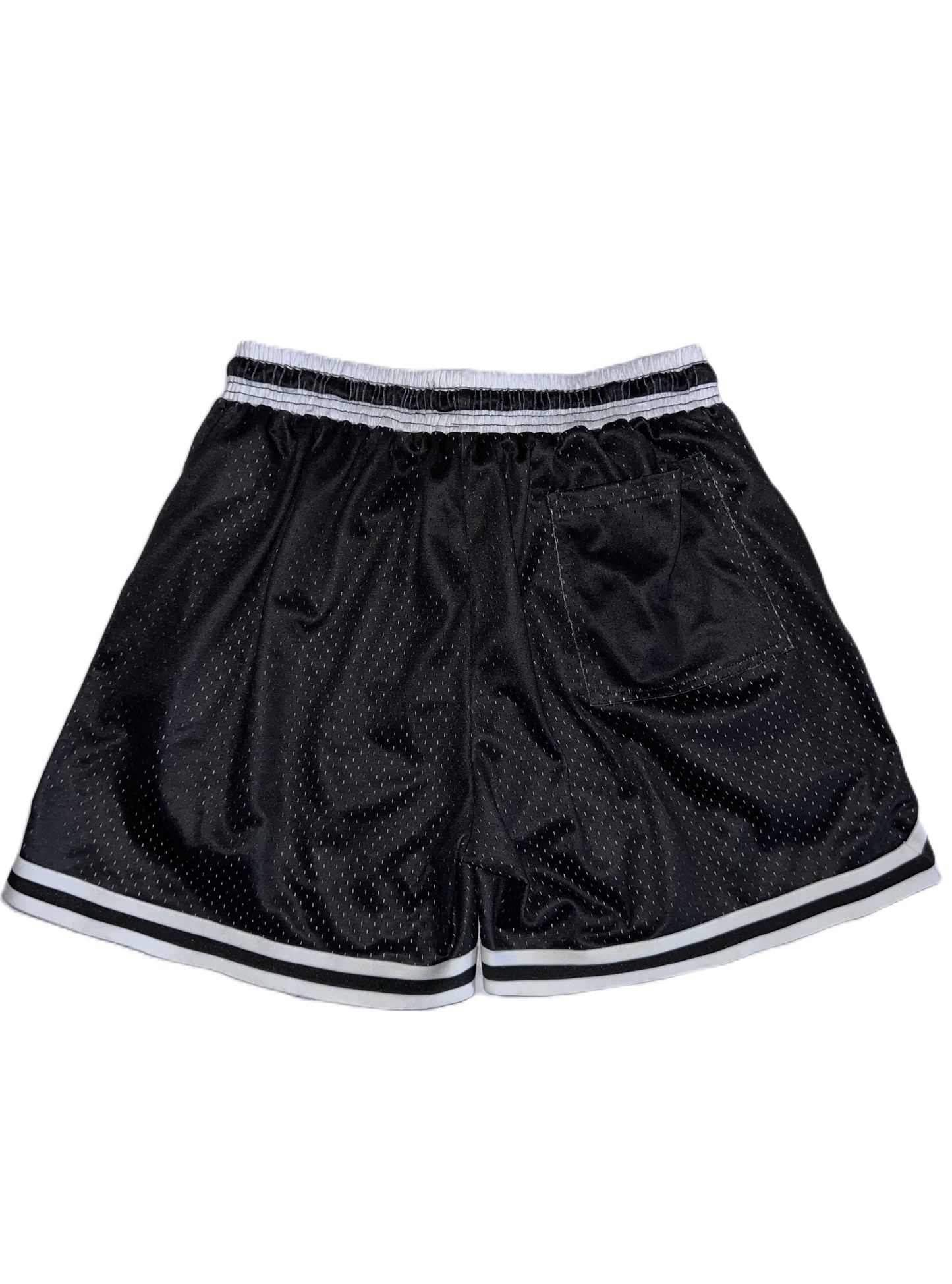 Mesh Shorts.2